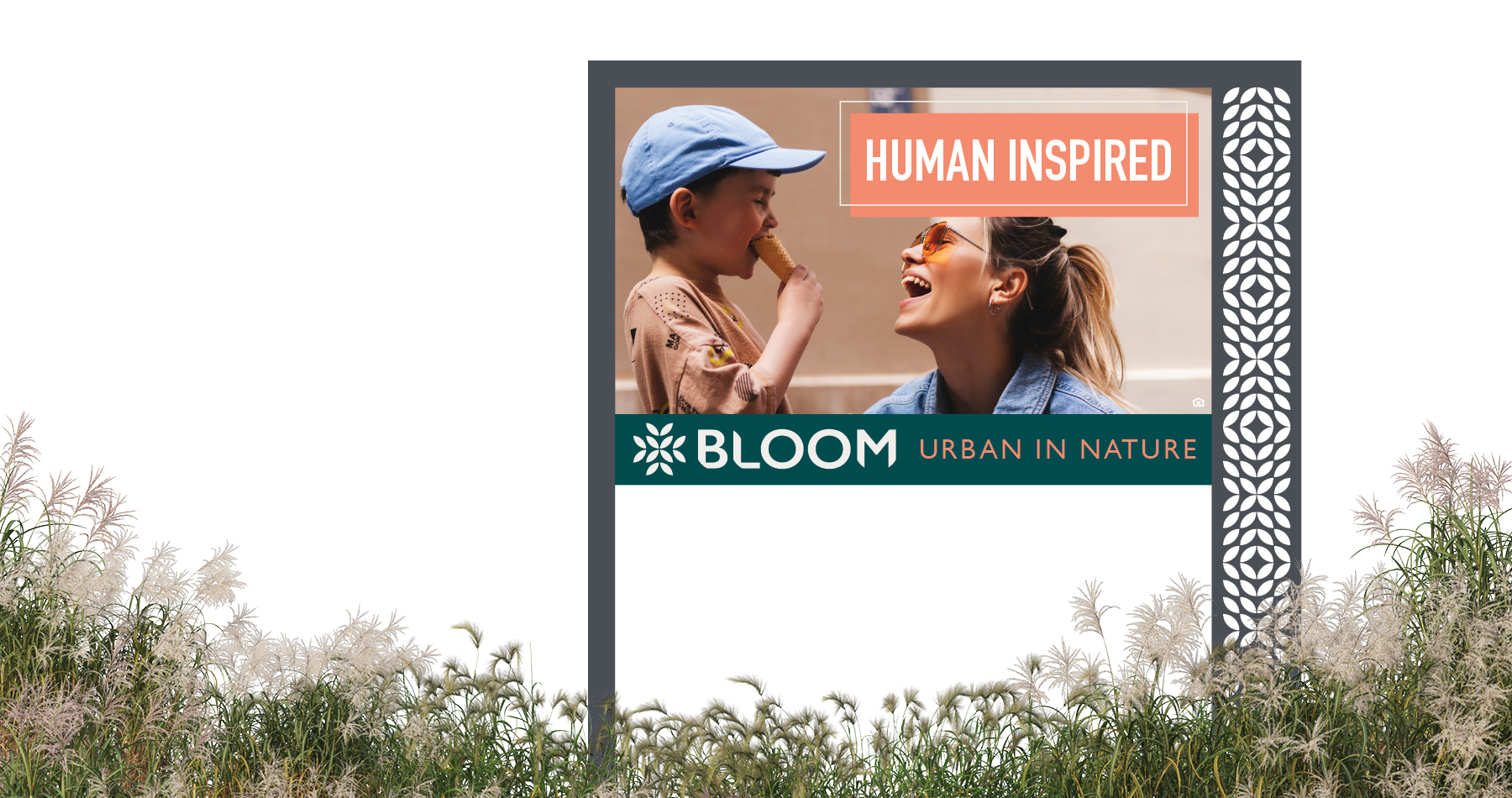 Bloom Fort Collins - Website