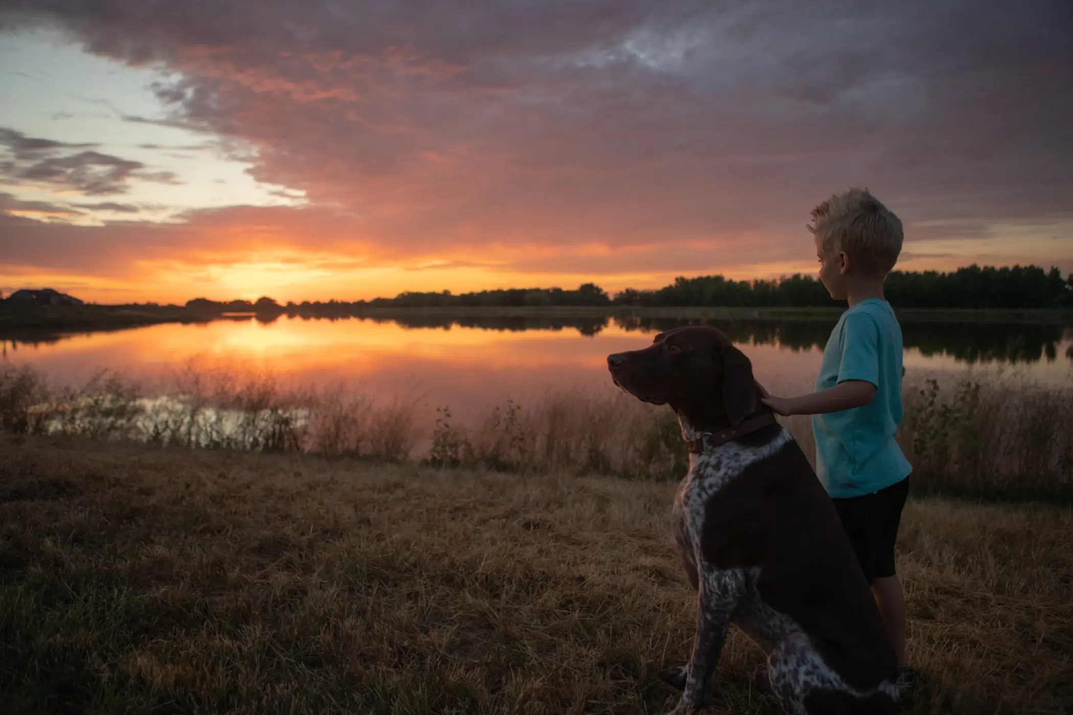 Boy and dog at sunset