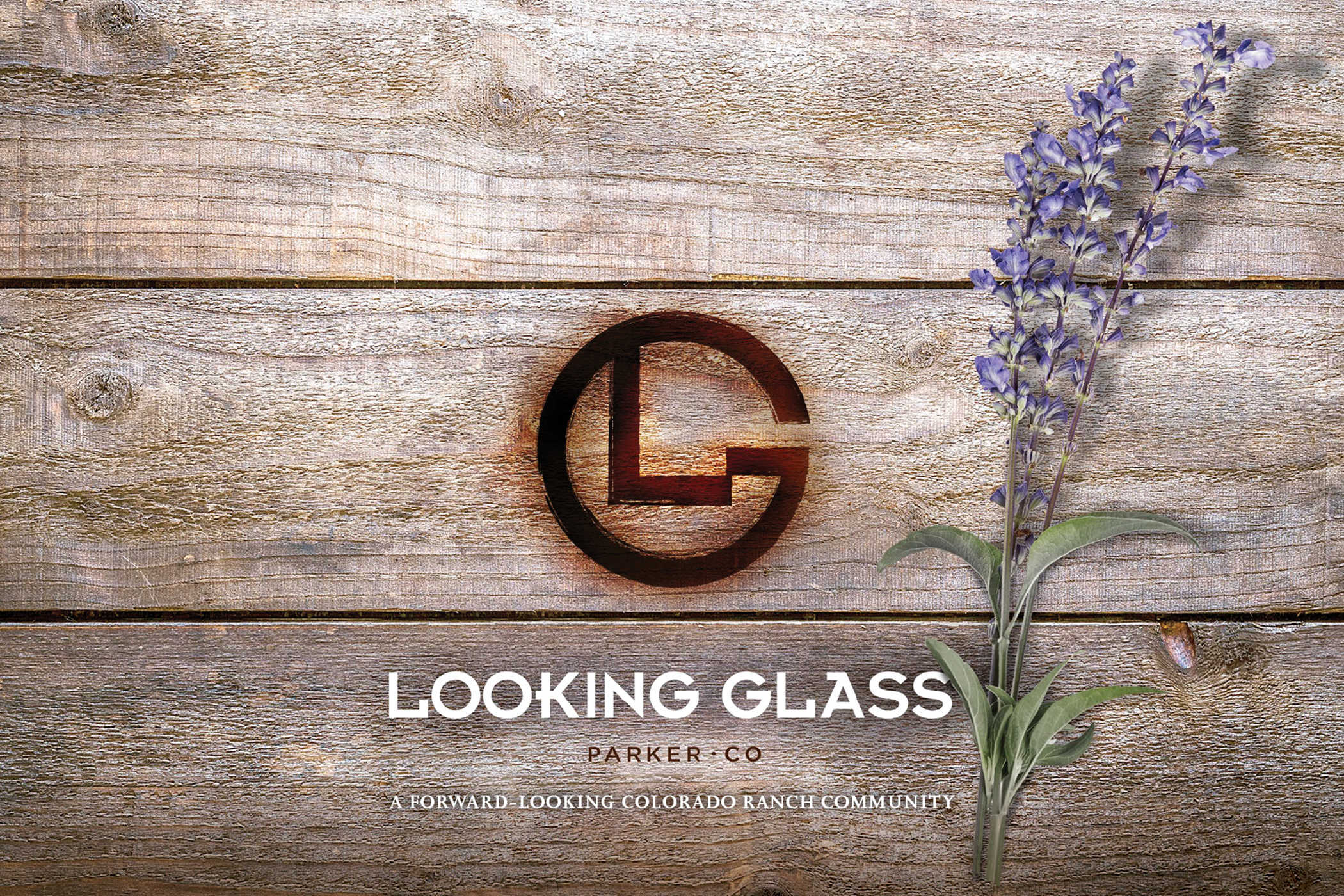 Looking Glass - MAME Best Logo 2024