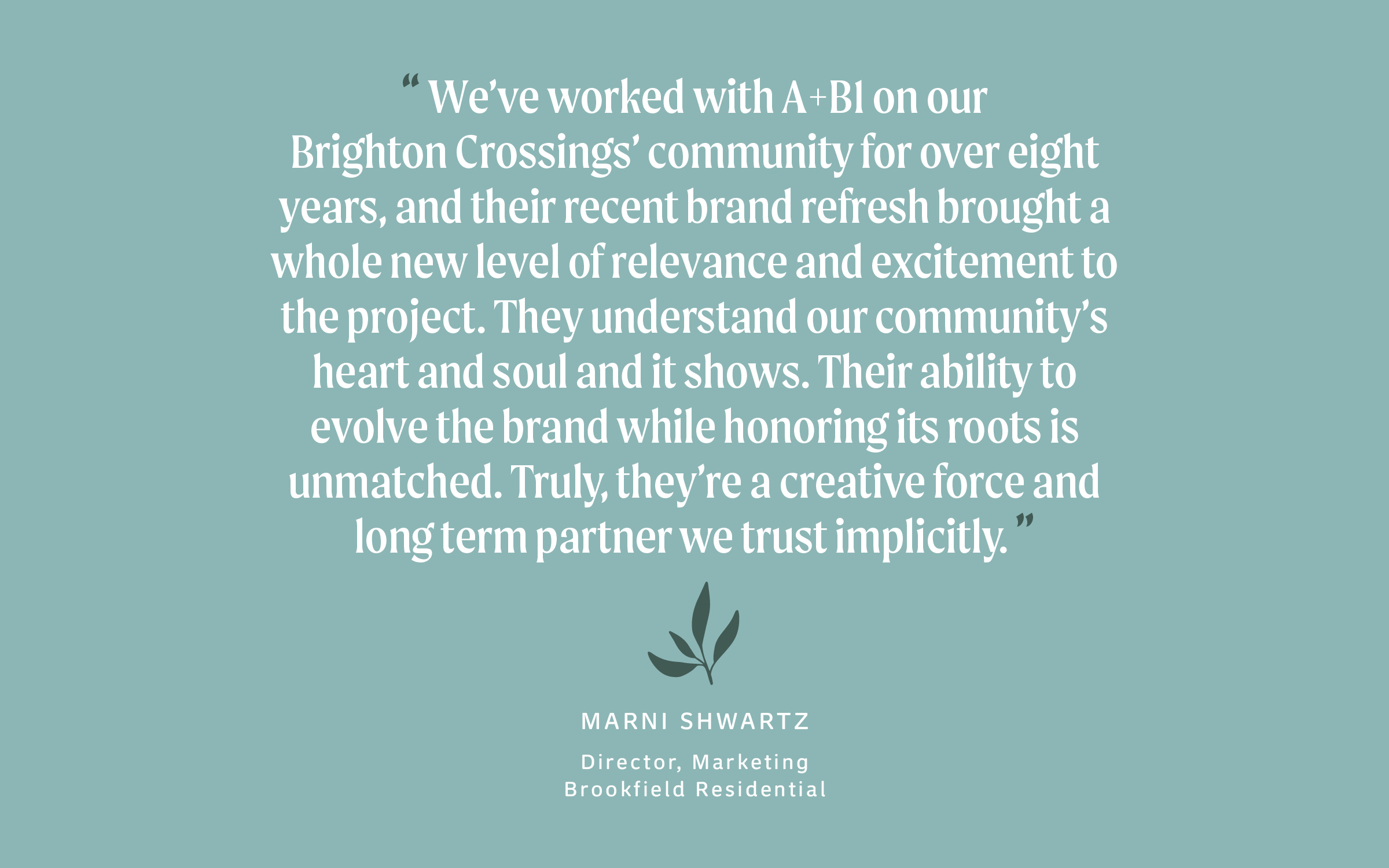 Brighton Crossings - Website