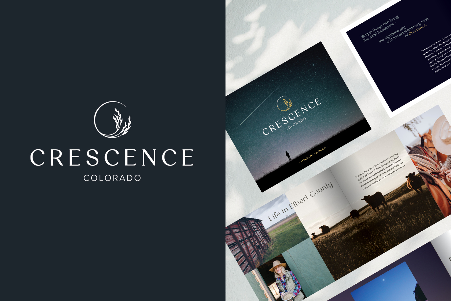 Crescence community marketing materials for A+B1 finalists categories in 2025 Denver MAME Awards.